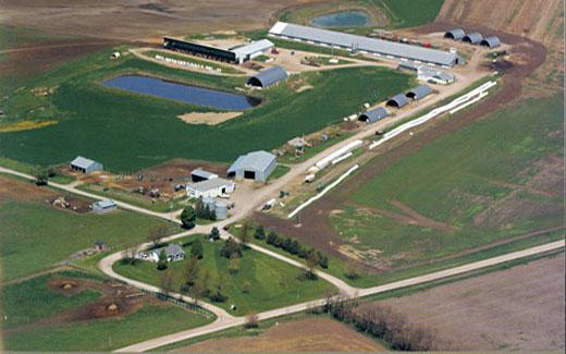 Farming and agriculture has always played an important role at Northwest.  The University Farm was established in 1905 and still plays an important role in Northwest's agricultural endeavors.  During the 1960s, Northwest's farm operations expanded to include a poultry plant, a hog operation, a dairy herd, a 500-acre farm, a beef herd and a small flock of sheep.